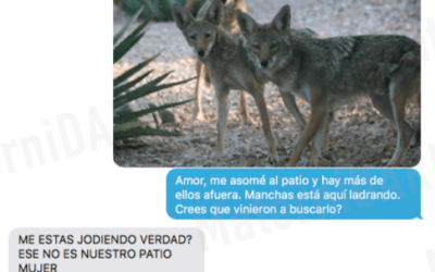 😂 Mujer le hace broma a su marido haciéndole creer que adoptó un Coyote